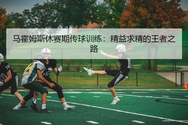 马霍姆斯休赛期传球训练：精益求精的王者之路